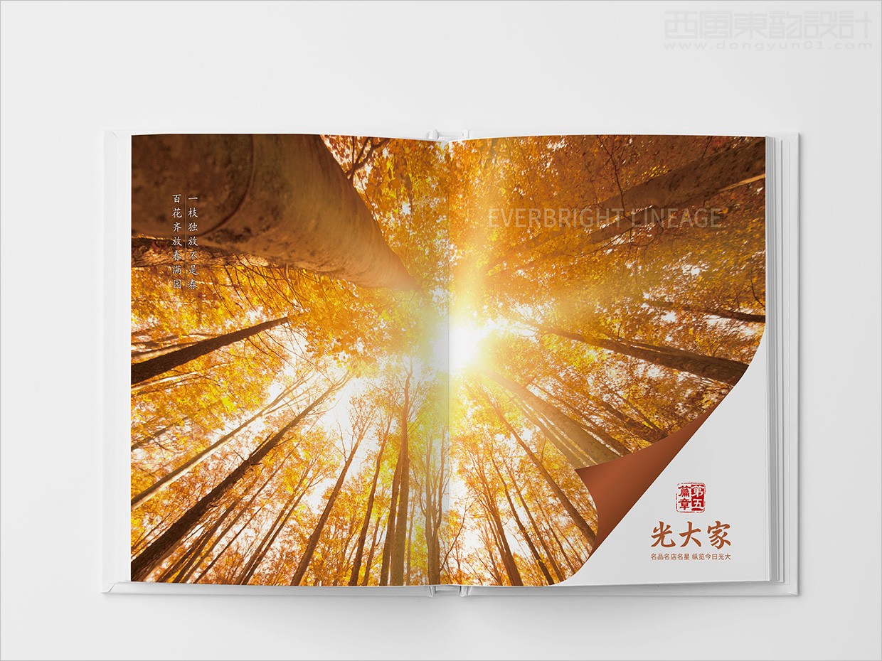 中國(guó)光大集團(tuán)畫(huà)冊(cè)設(shè)計(jì)之畫(huà)冊(cè)內(nèi)頁(yè)設(shè)計(jì)